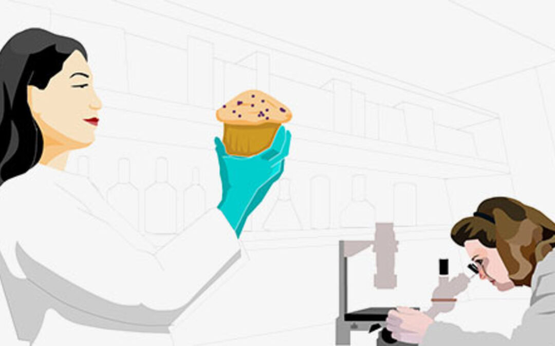 Rich Products: Careers Animation